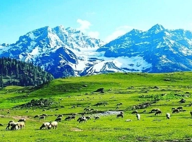 Kullu Manali Shimla