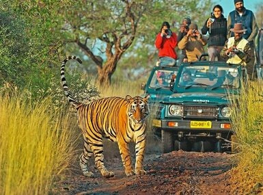 Rajasthan