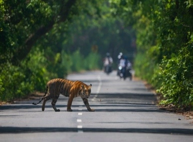 South India