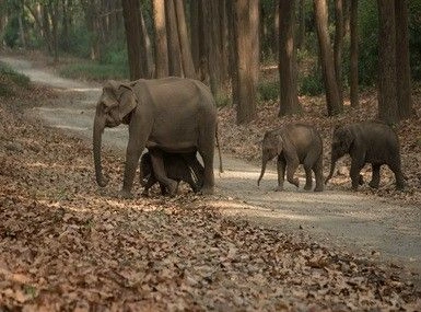 Uttarakhand