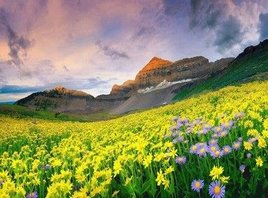 Uttarakhand