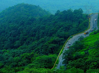 Bangalore – Mysore – Wayanad Package